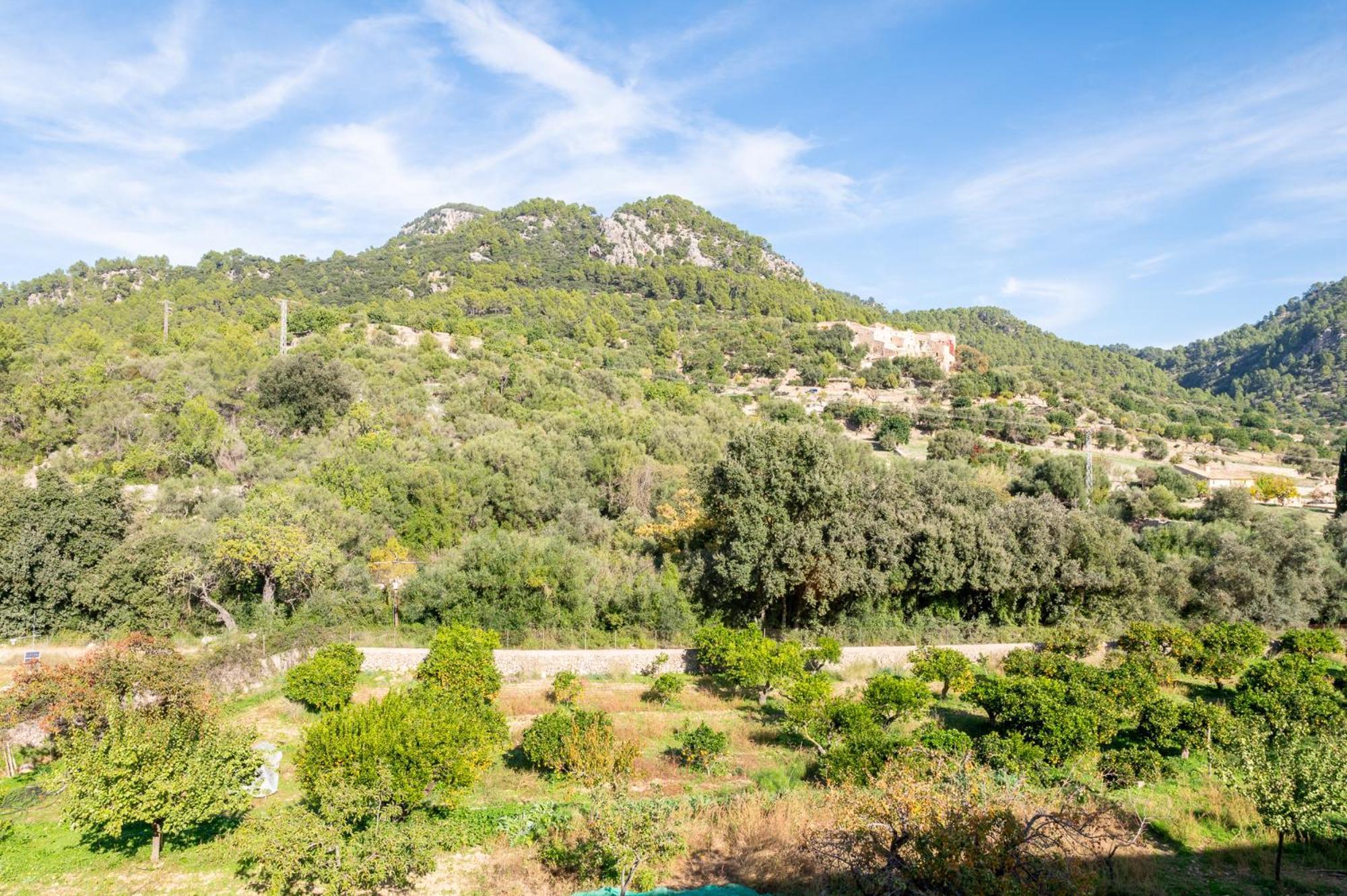 Agroturismo Filicumis By Mhr Lloseta Extérieur photo