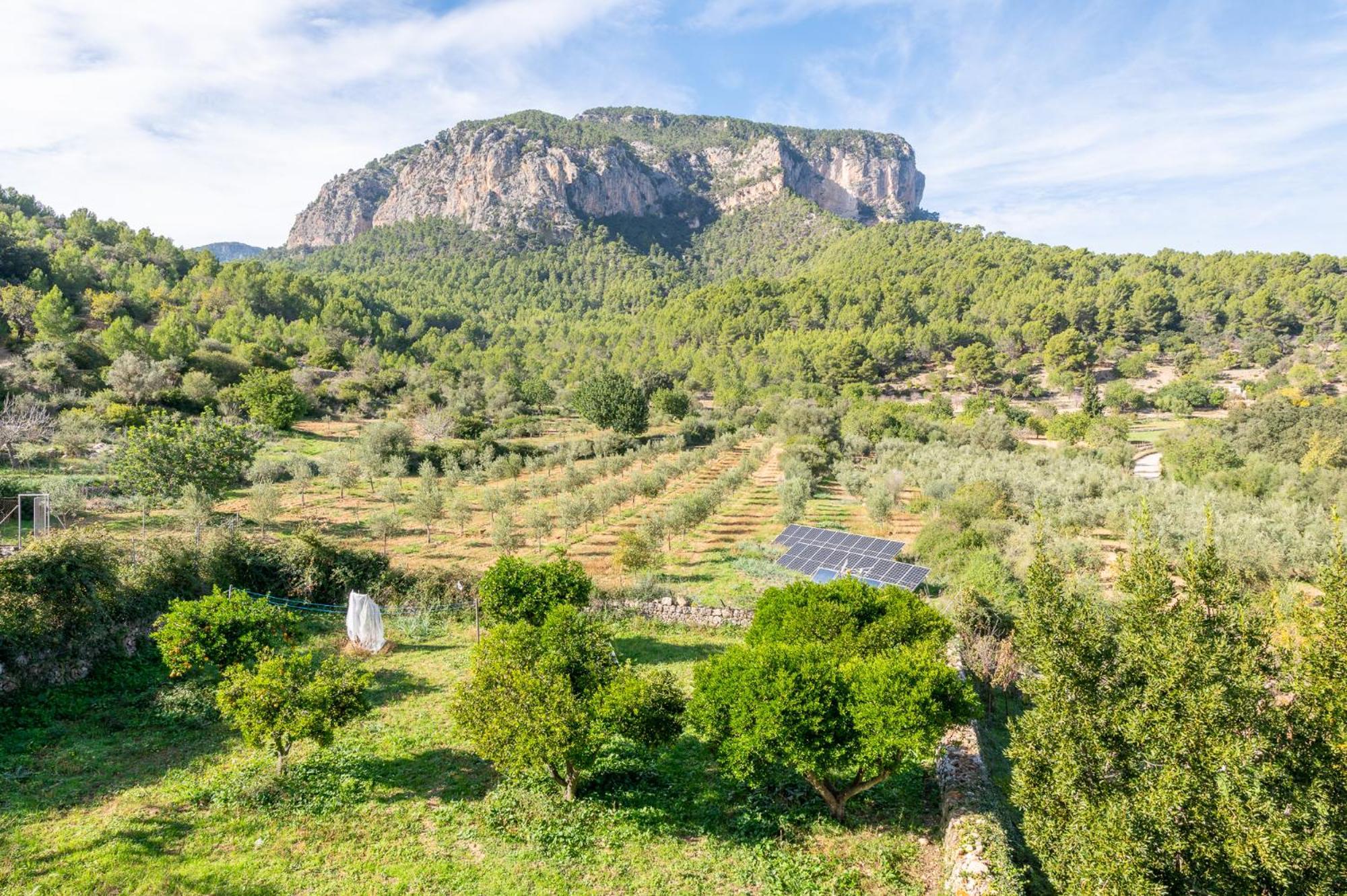 Agroturismo Filicumis By Mhr Lloseta Extérieur photo