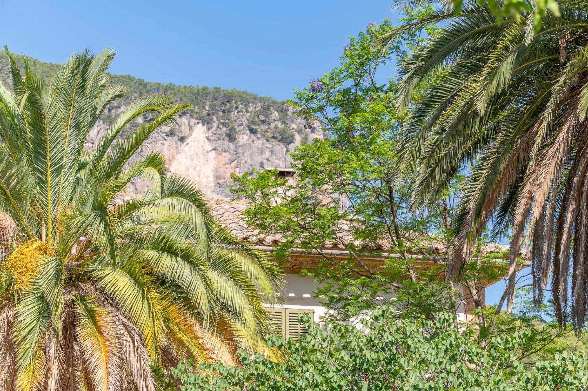 Agroturismo Filicumis By Mhr Lloseta Extérieur photo