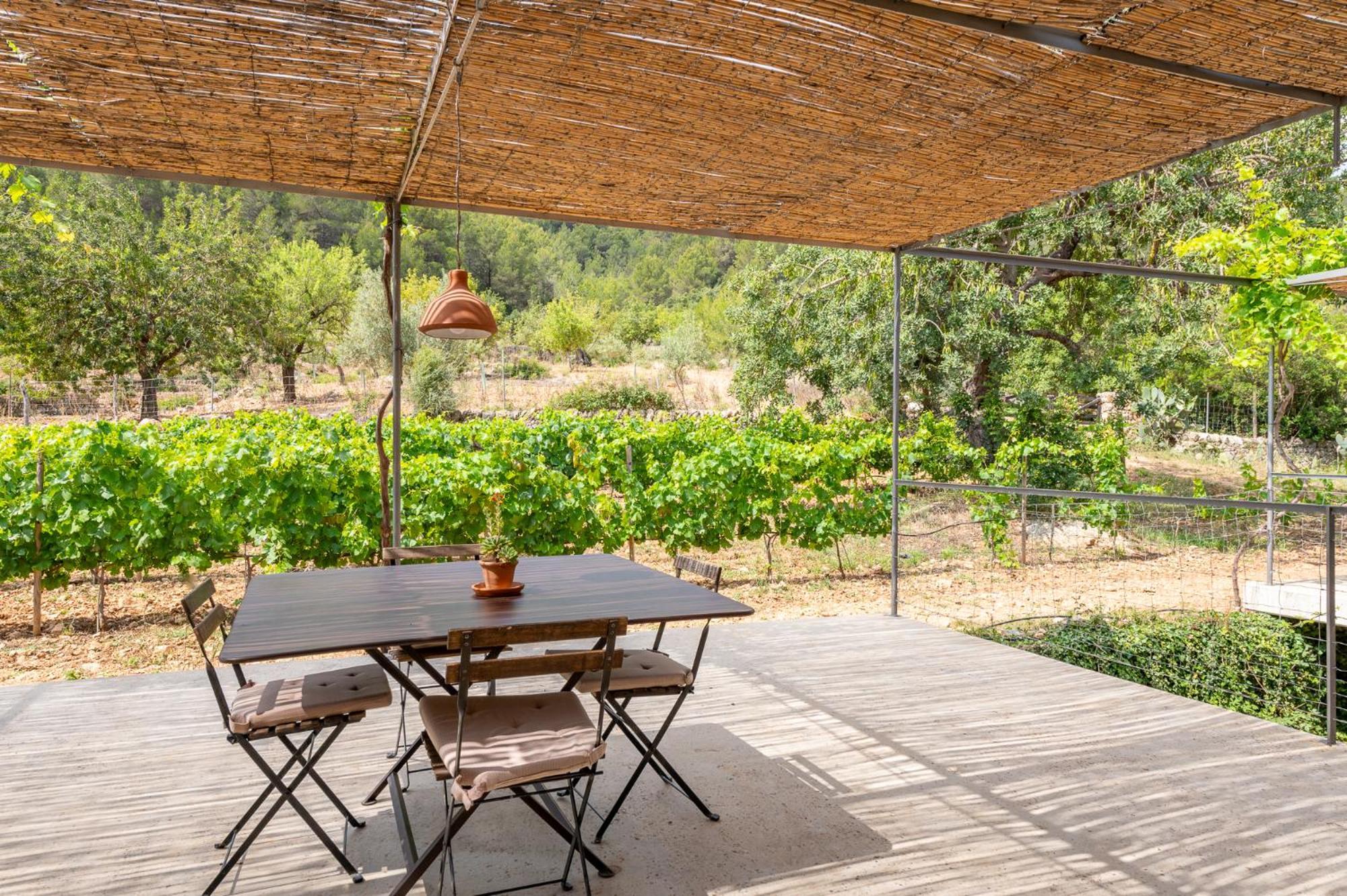 Agroturismo Filicumis By Mhr Lloseta Chambre photo